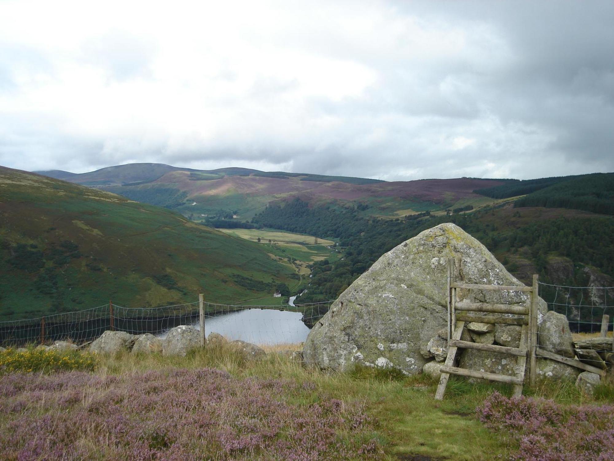 Lough Dan House Bed & Breakfast Oldbridge Exterior photo